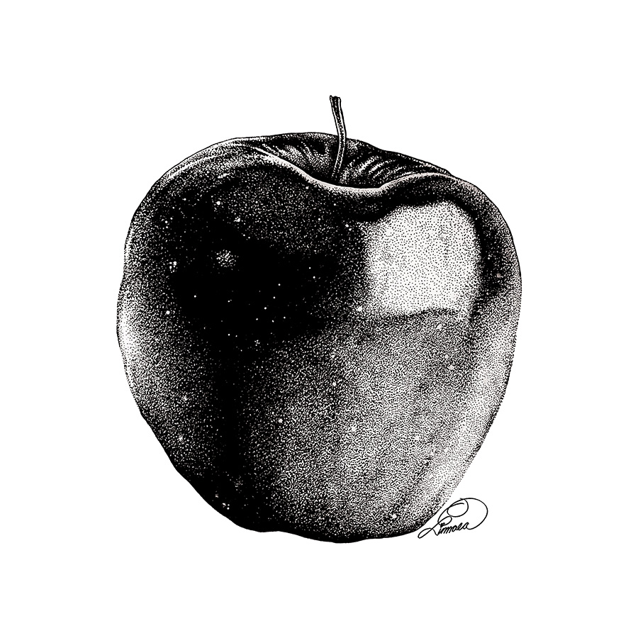 A photorealistic, black and white illustration of an apple.
