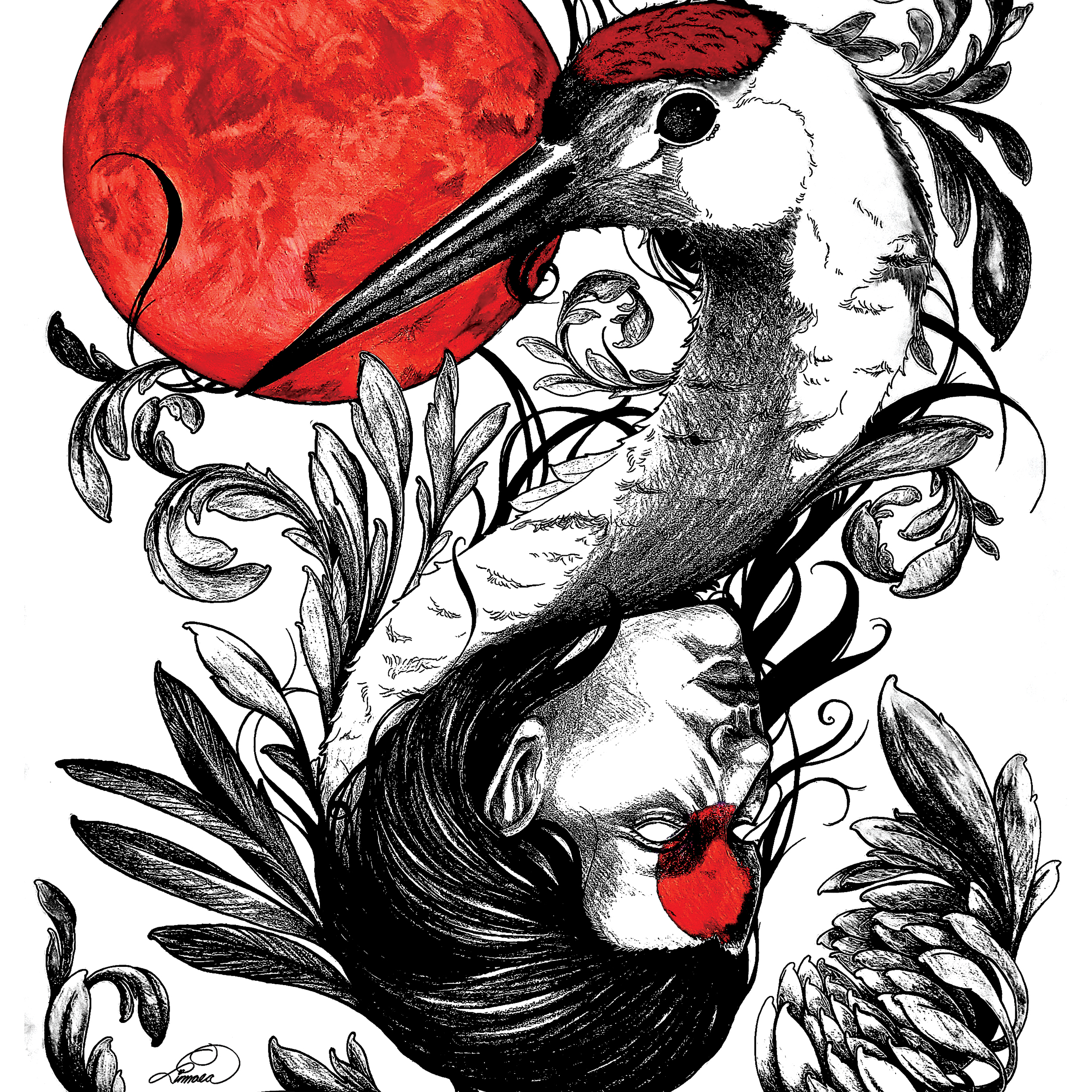 A photorealistic, black and white illustration of an apple.