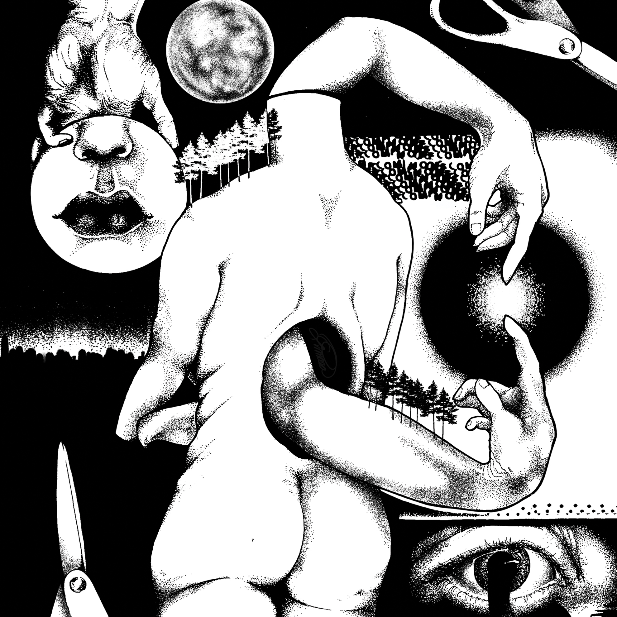 A photorealistic, black and white illustration of an apple.